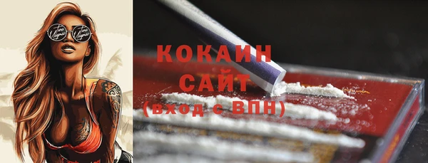 индика Абинск