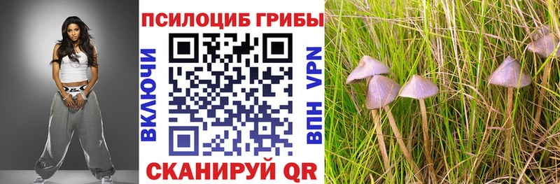 Галлюциногенные грибы прущие грибы  где найти   Инта 